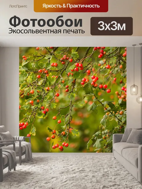 Фотообои Дерево