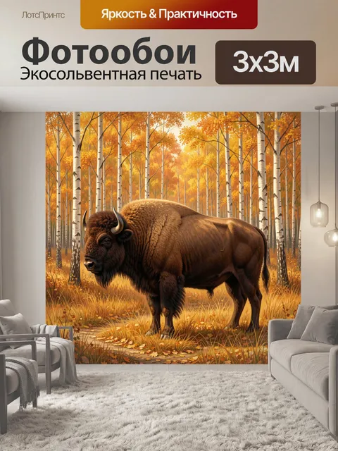 Фотообои Бизон в осеннем березовом лесу