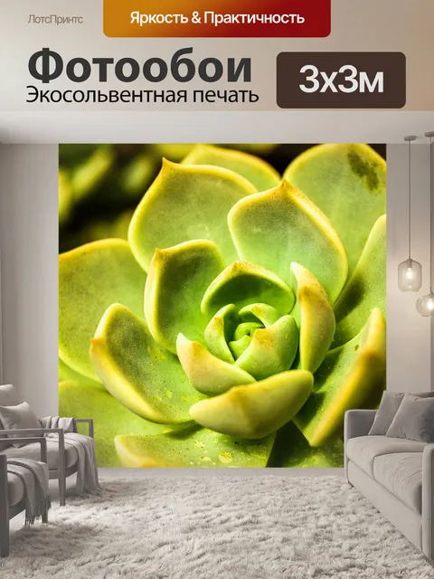 Фотообои Кактусовое пустынное растение