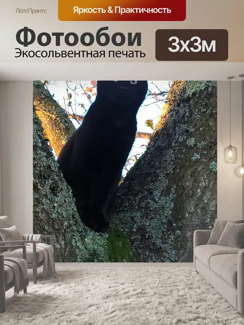 Фотообои Кошка