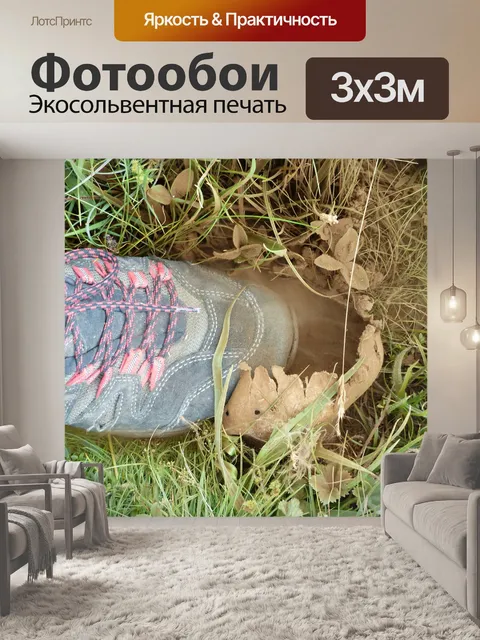 Фотообои Бовист
