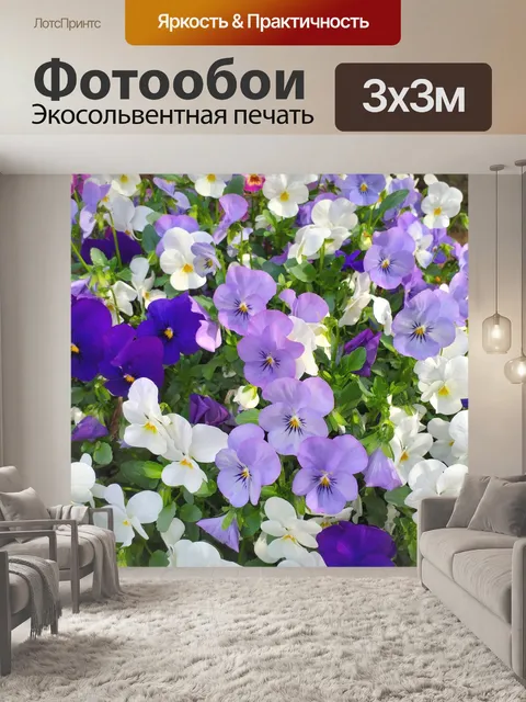 Фотообои Цветы фиалки анютины глазки