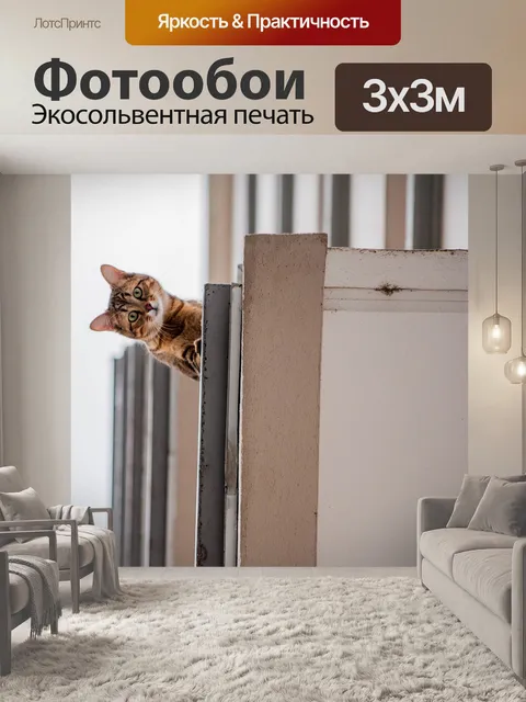 Фотообои Кошка