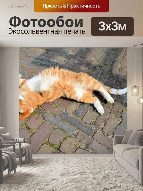 Фотообои Кошки 5