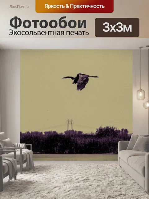 Фотообои Голубая цапля в полете
