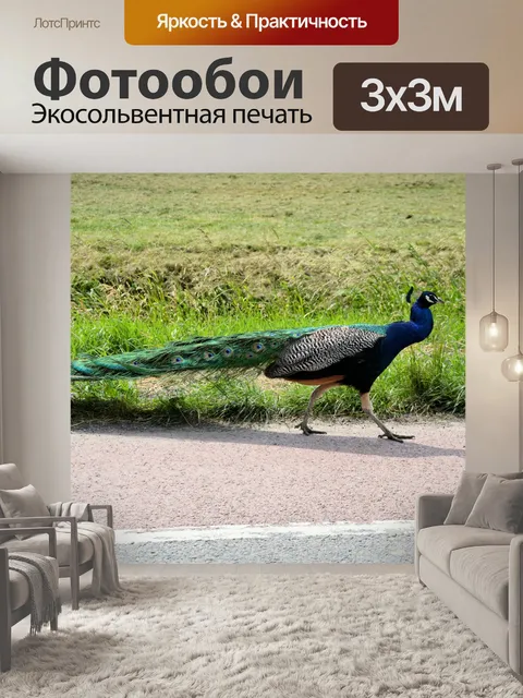 Фотообои Павлин