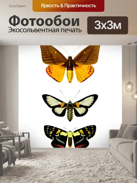 Фотообои Винтажный арт-набор мотыльков