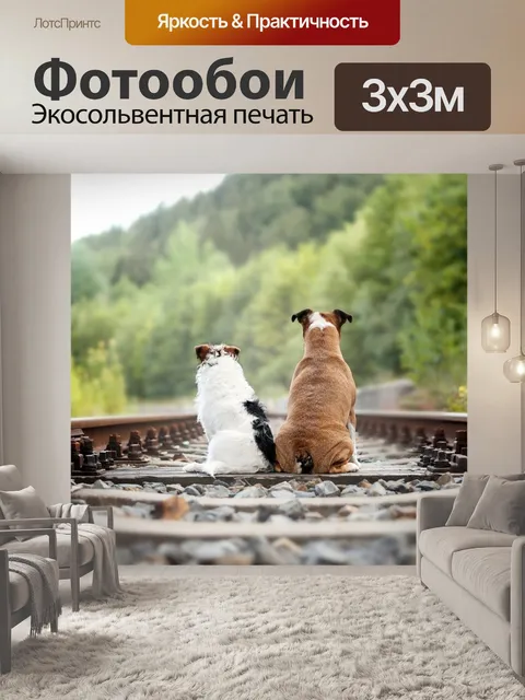 Фотообои Собаки