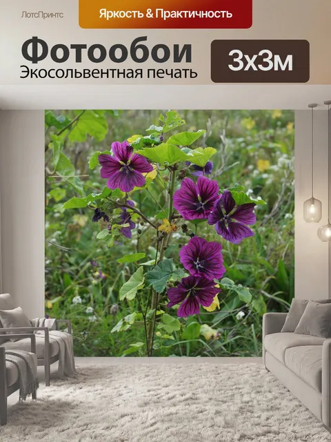 Фотообои Цветы