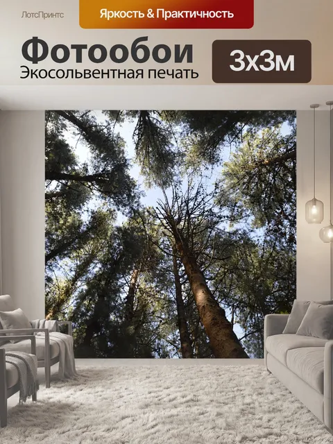 Фотообои Дерево