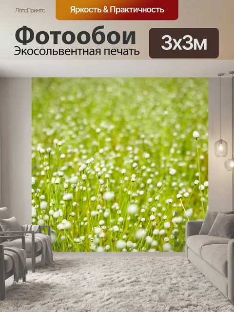 Фотообои Цветы