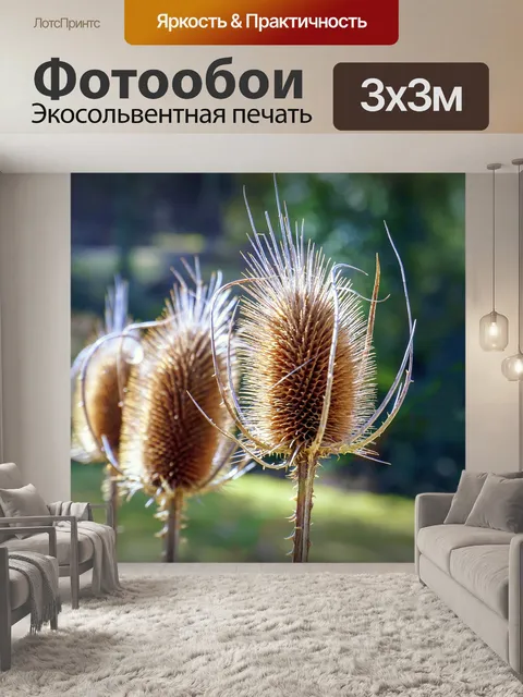 Фотообои Природа