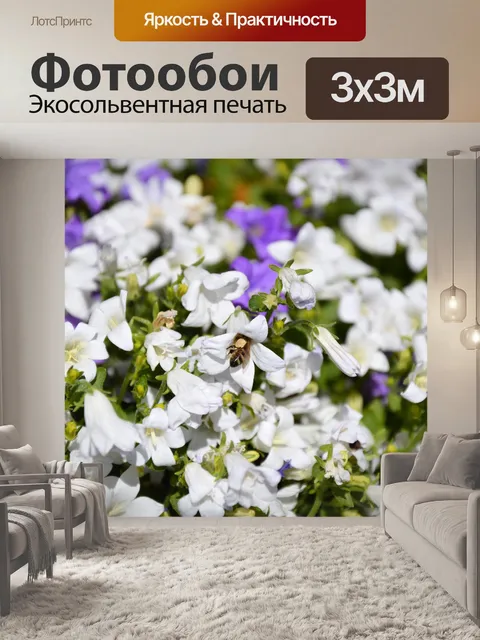 Фотообои Пчела