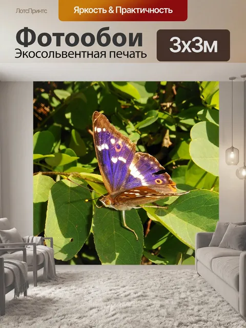 Фотообои Природа