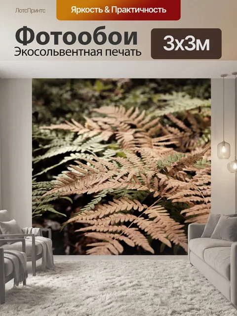 Фотообои Папоротники