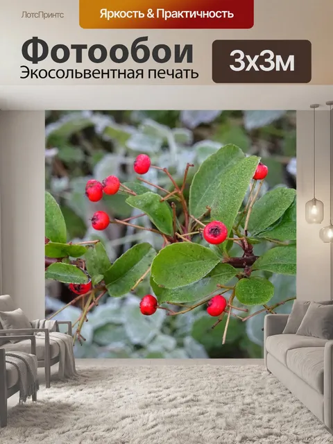 Фотообои Морозные Садовые ягоды