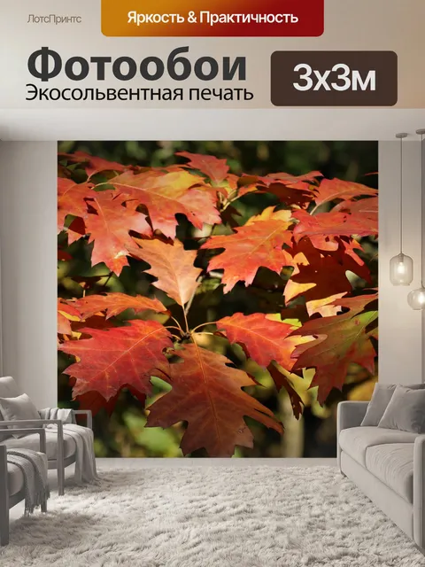 Фотообои Свет