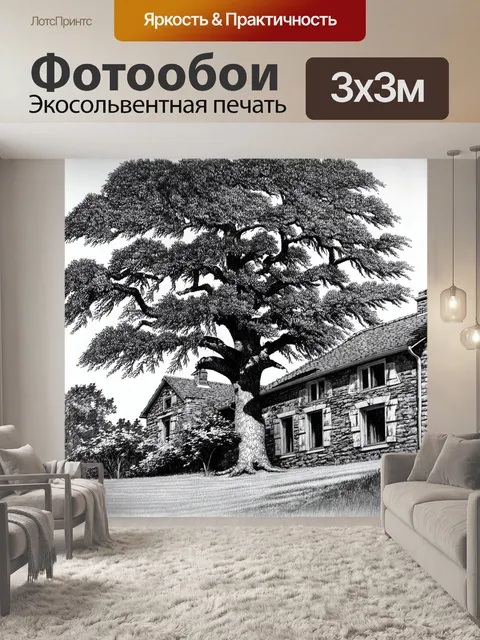 Фотообои дерево с раскидистыми ветвями обещает уют среди раннего солнечного света