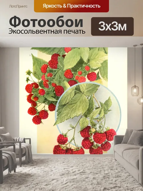 Фотообои Старинные художественные фрукты малина