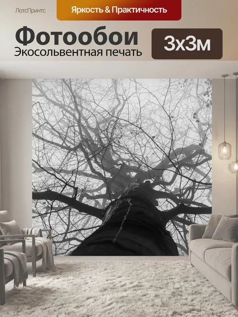 Фотообои Лес