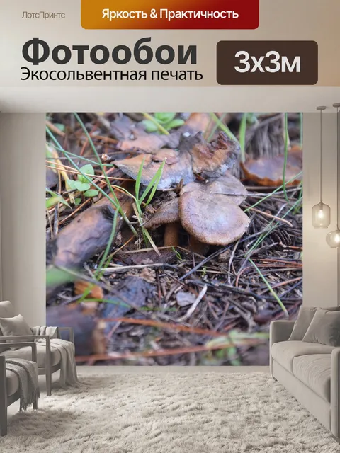 Фотообои Земля