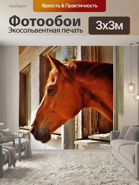 Фотообои Лошадь