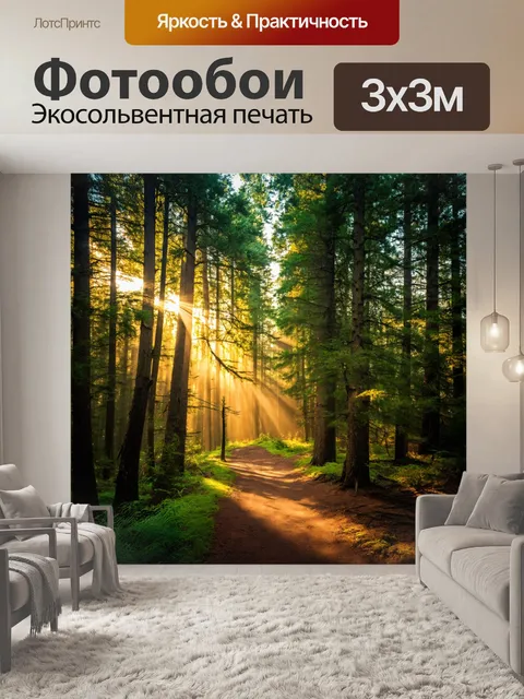 Фотообои солнечные лучи проникают сквозь густые деревья, лесная тропа