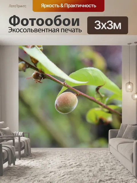 Фотообои Рыбачить