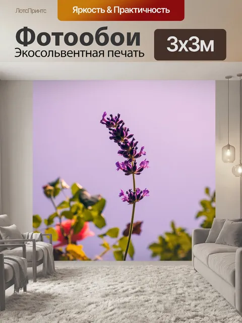 Фотообои Лаванда