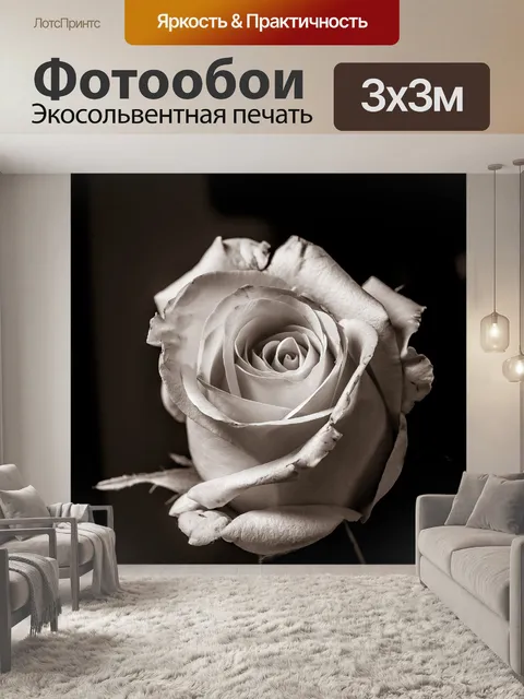 Фотообои Роза