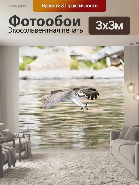 Фотообои Скопа
