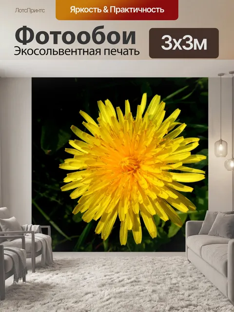 Фотообои Одуванчик