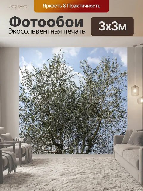 Фотообои Оливковое дерево