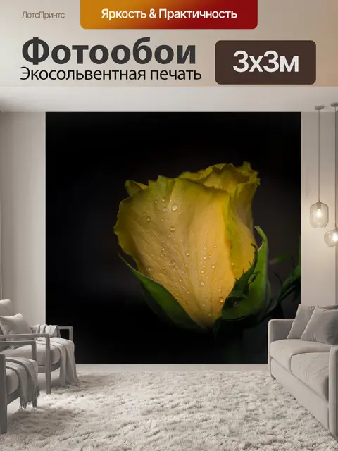Фотообои Желтая роза