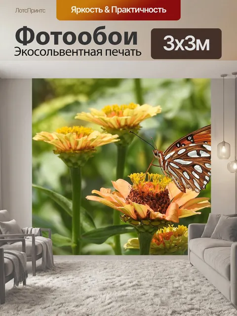 Фотообои Бабочка