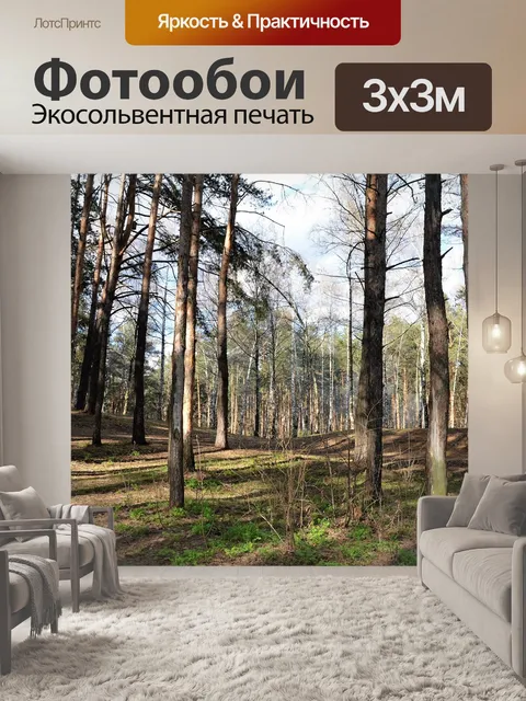 Фотообои Сосна