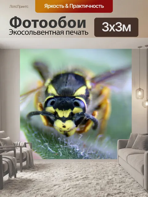 Фотообои Цветок