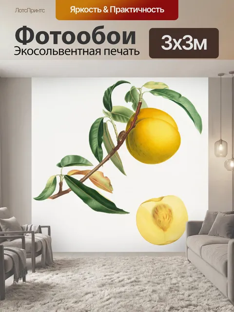 Фотообои Персики фрукты фрукты арт