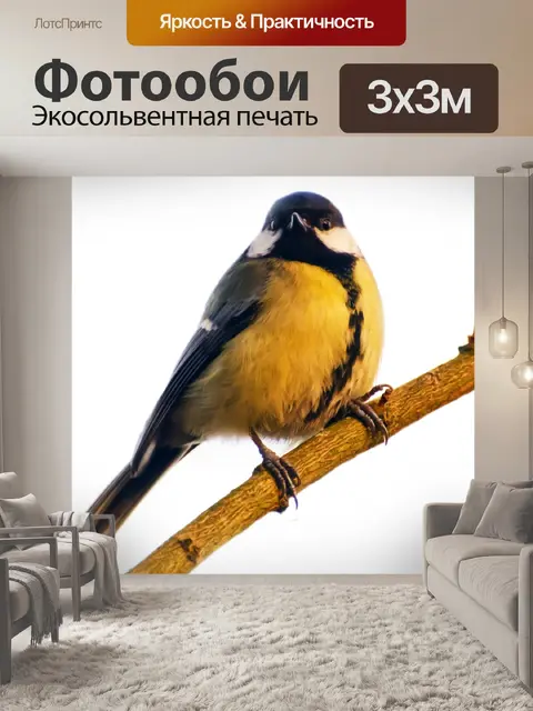 Фотообои Птица