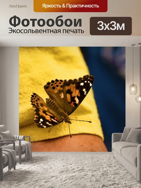 Фотообои бабочка