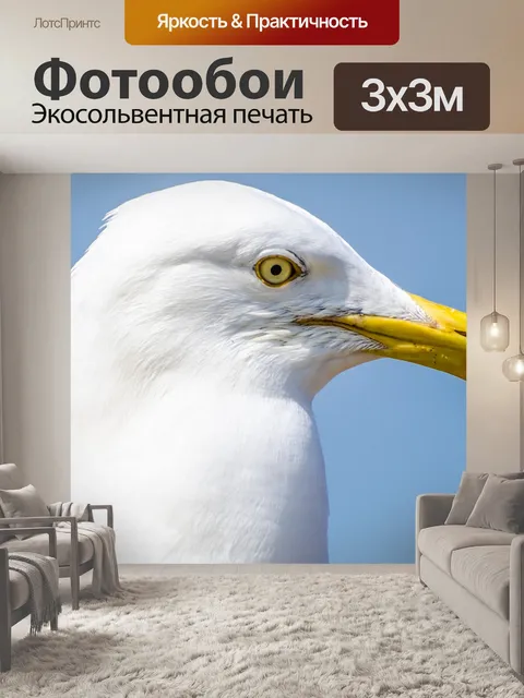 Фотообои Чайка