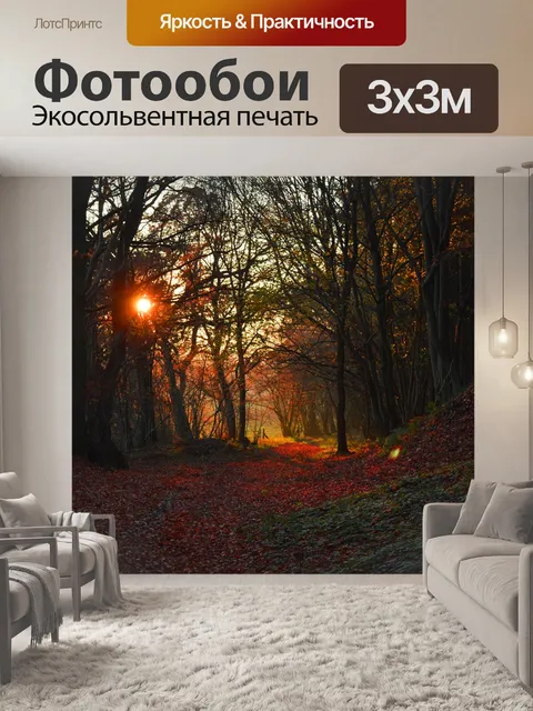 Фотообои Лес