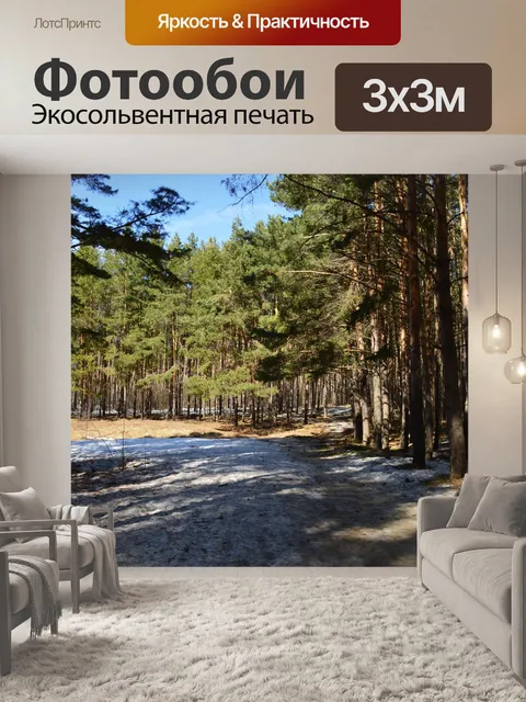 Фотообои Сосны