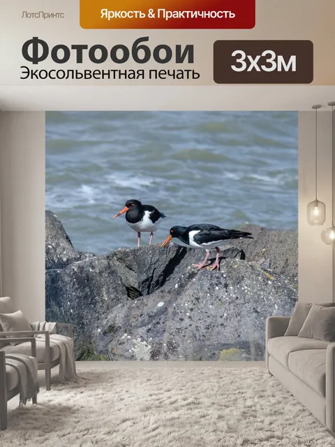 Фотообои Птицы