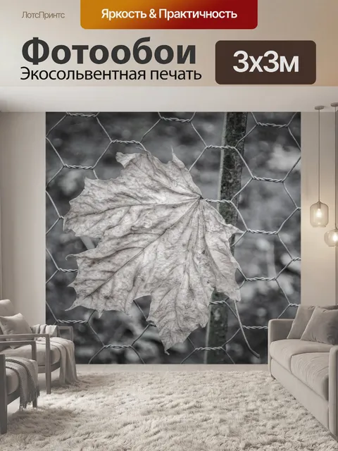 Фотообои Старый лист