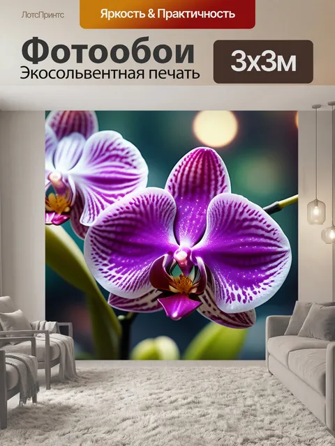 Фотообои с орхидеями