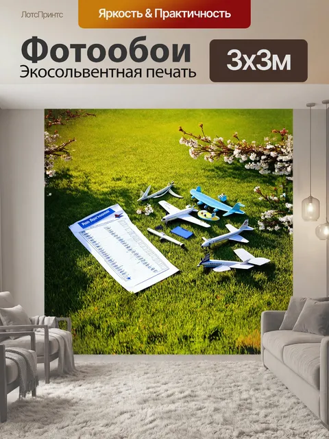 Фотообои на зелёной лужайке утреннего аэропорта расположены аккуратно разложенные предметы: контрольный список