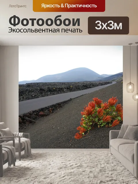 Фотообои Вулкан