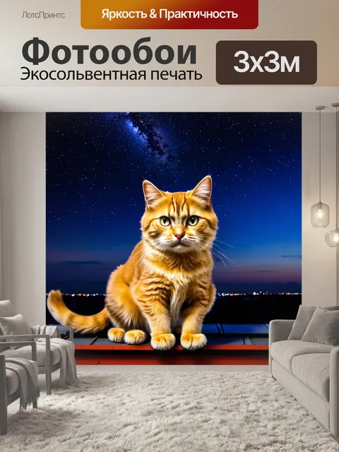 Фотообои кошка на крыше под звездным небом