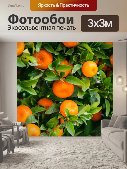 Фотообои Фрукты